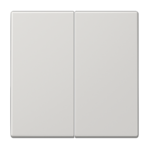 Tecla para pulsador KNX F10 duroplástico Serie LS