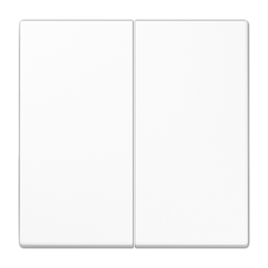 Tecla para pulsador KNX F10 duroplástico Serie LS
