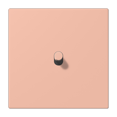 JUNG_LC12-0R0231.png