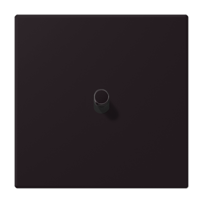 JUNG_LC12-0R0248.png