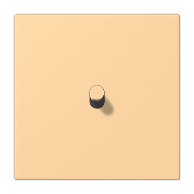 JUNG_LC12-0R0258.png