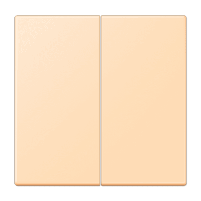 JUNG_LC995223.png