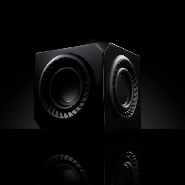 Micro Sub Woofer Wireless