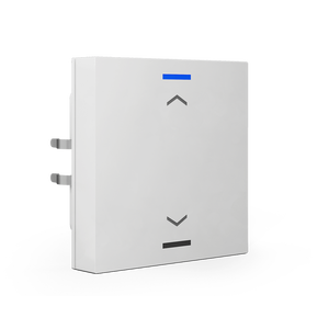 Interruptor Lite 55