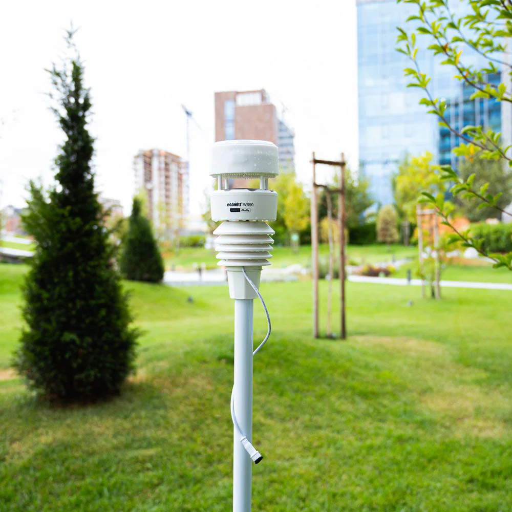 Ecowitt-WS9