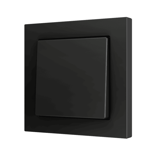 ZS551PB1A